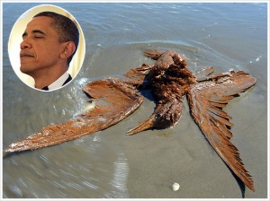 obama dead bird